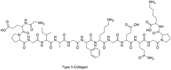 Collagen Structure